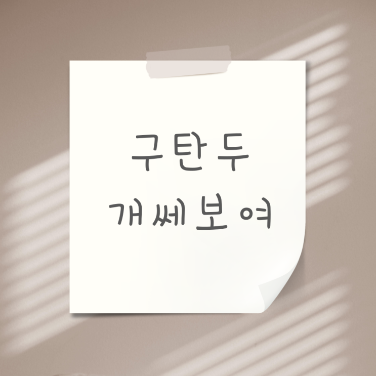  구탄두 개 쎄보여