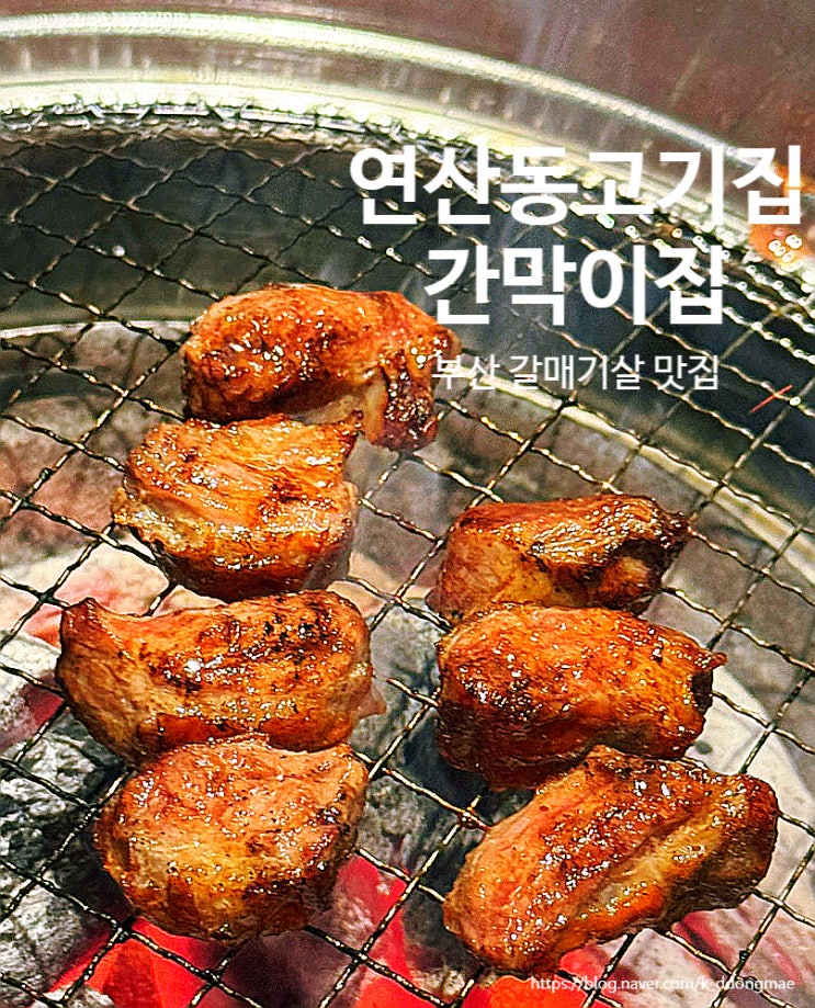  부산 갈매기살 맛집 '간막이집' 연산동 회식장소 추천