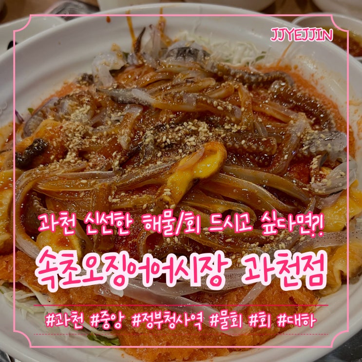  [과천|중앙] 속초오징어어시장 과천점 | 과천정부청사역 근처 신선한 제철회 맛집 (대하회, 물회, 오징어회, 연어덮밥, 해삼 등등등)