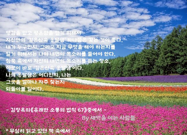 영감 영감