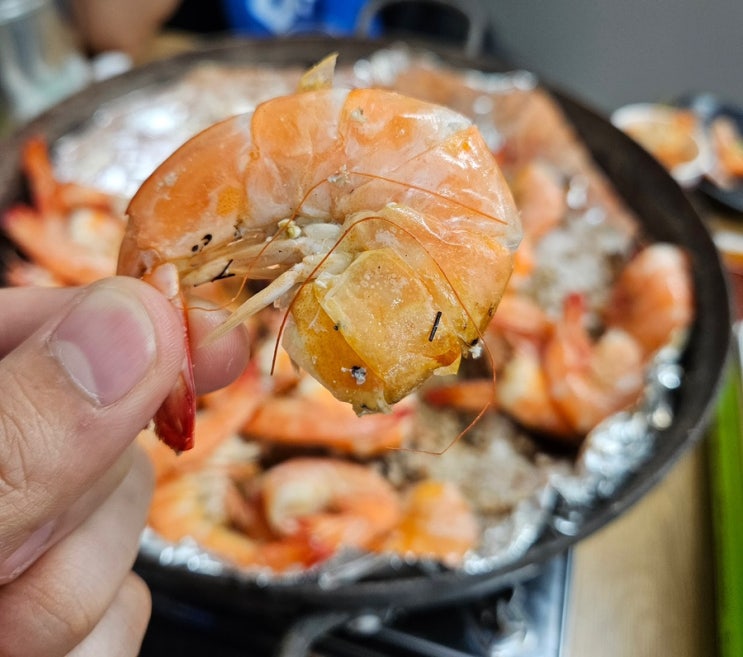  수원 농수산물시장 가을제철 대하 가격 영남수산
