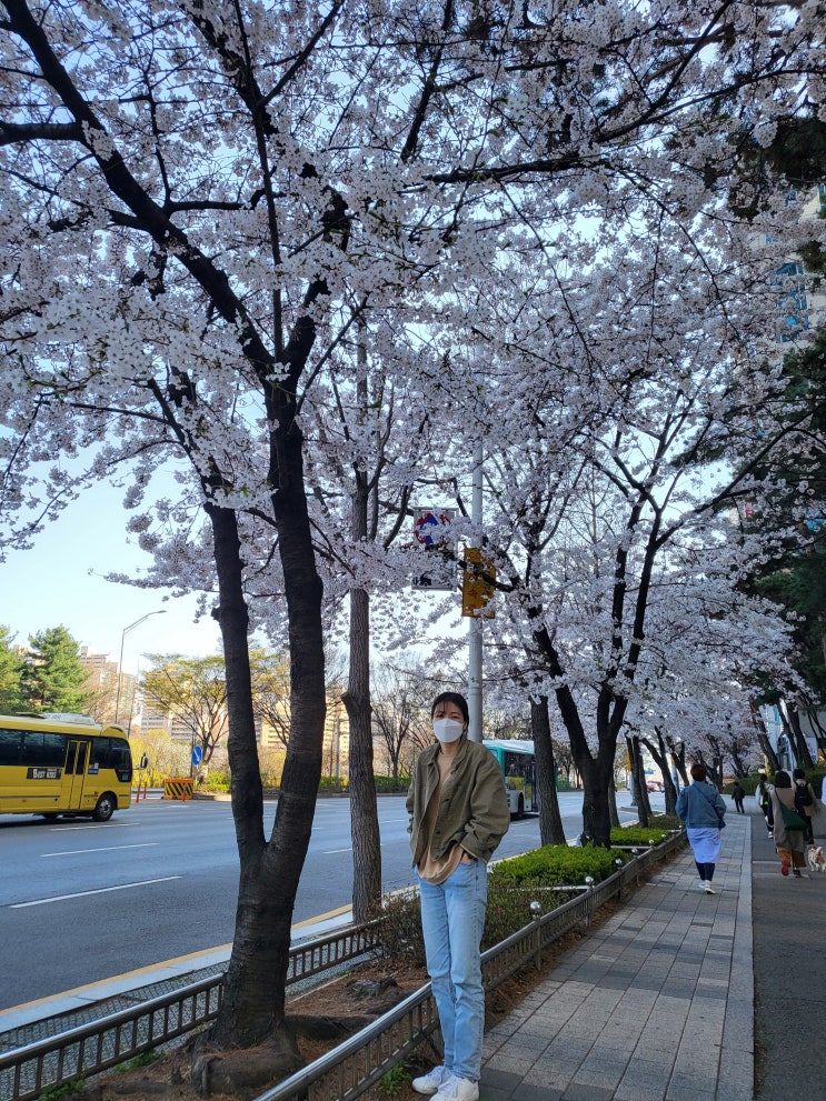  추억의 정자동 탄천 산책