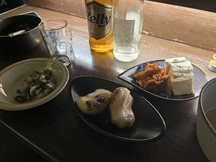  아, 술 마시기 좋은 날이다 / 빨래 한가득 / 해장은 힘들어 / idos3 구입 / 사기 당할 뻔..
