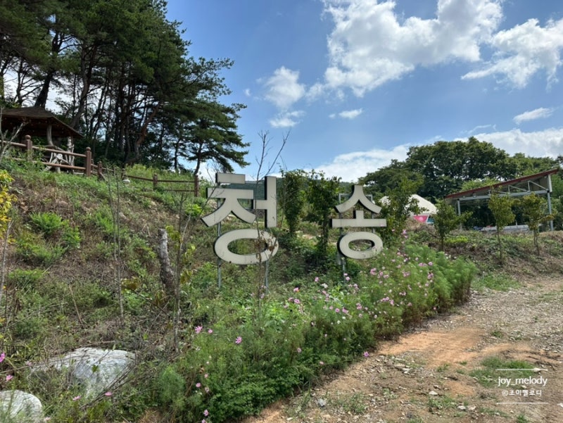 [아이와 청송여행] 청송 맛집 주왕산 국립공원 맛집 주왕산 청솔식당 / 청송 횟집 청송바다맛....
