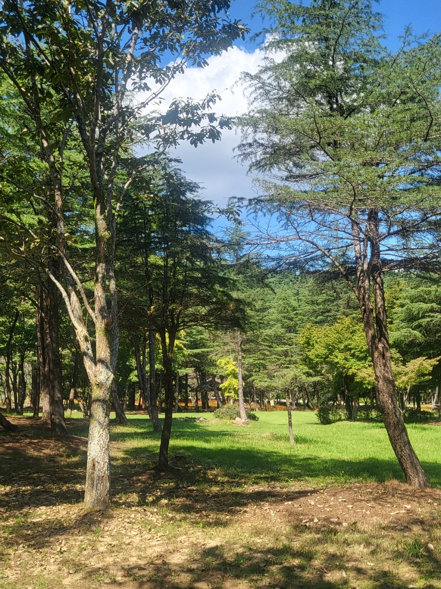 내장산수목원 사진 2