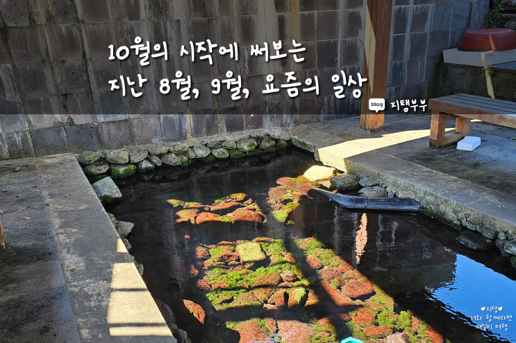 10월에 쓰는 지난 8월, 9월, 그리고 요즘의 일상 아무얘기