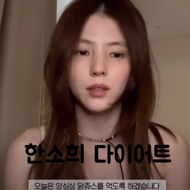  배우 한소희의 다이어트, 닭가슴살 쉐이크 레시피 5가지