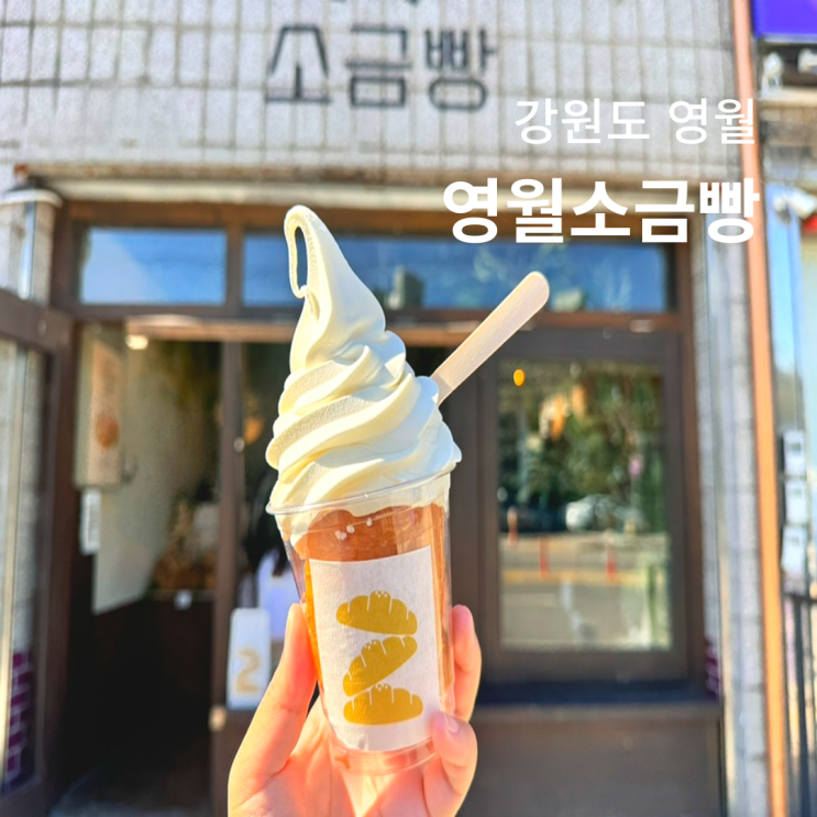  영월역 맛집 영월 소금빵 내돈내산 후기 보관방법