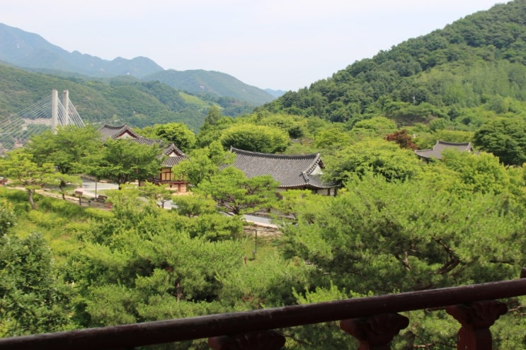  [청풍문화재단지] 충북 제천 가볼만한 곳 걷기 좋은 곳