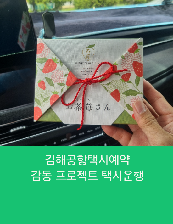  부산에서 진주까지 감동 김해공항택시예약운행