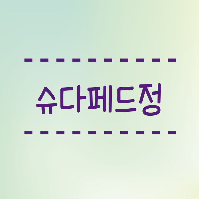  슈다페드정 콧물에만 효과가 있을까요? 복용 주의방법 안내