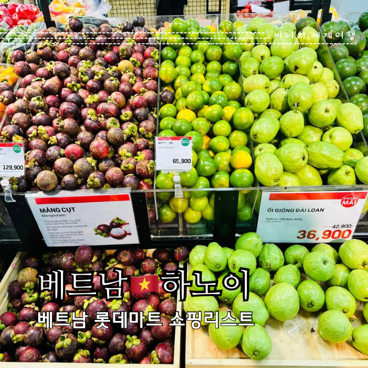 베트남 하노이 롯데마트 쇼핑리스트 추천 아이템 베트남 하노이 롯데마트 쇼핑리스트 추천 아이템