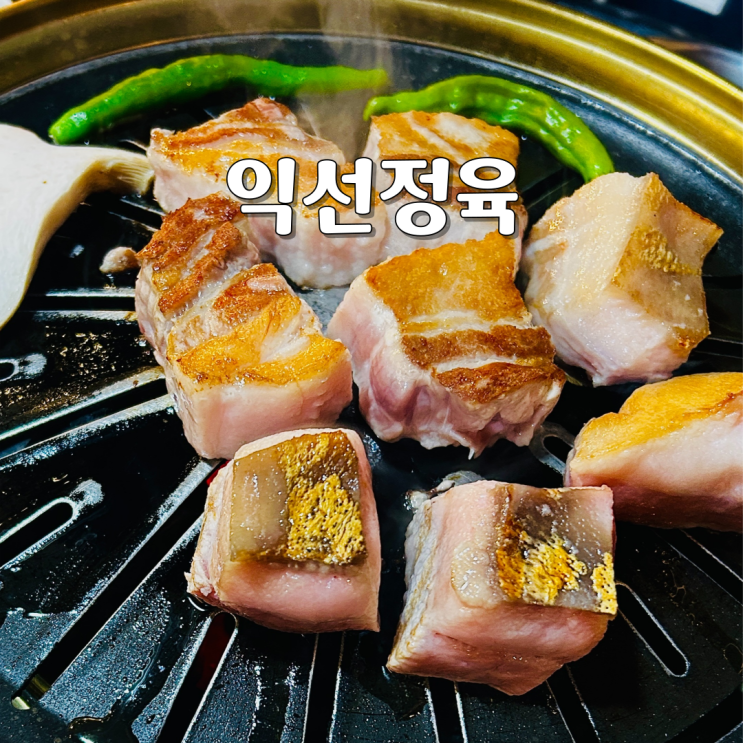  익선정육 깍뚝항정 육즙 가득한 종로3가 고기집