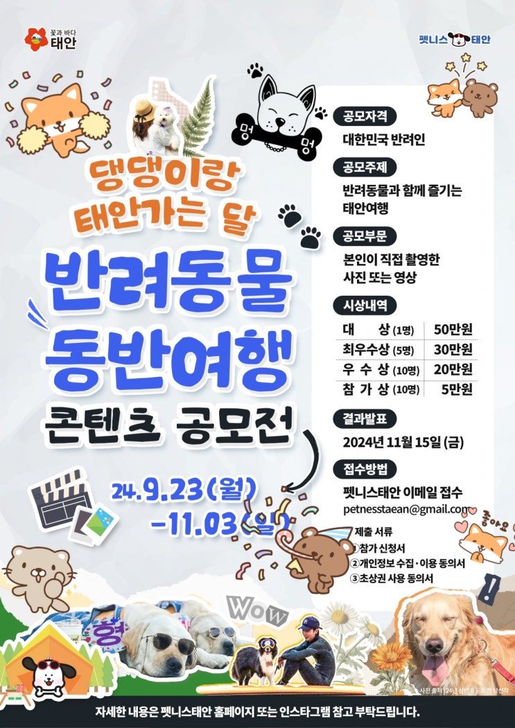  충남 태안_태안군 반려동물 동반여행 콘텐츠 공모전_사진,영상