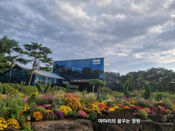  [ 파주] 벽초지 수목원의 국화 축제에 다녀오다