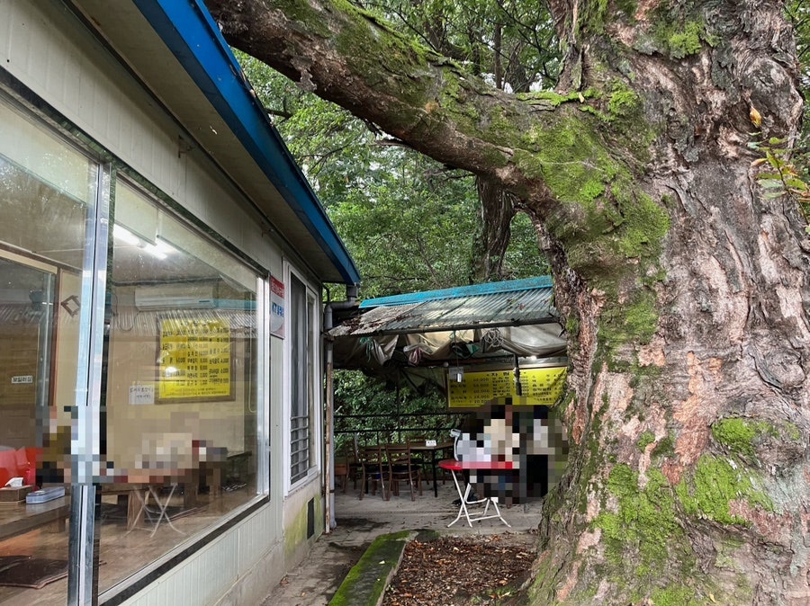 길손집 사진 4