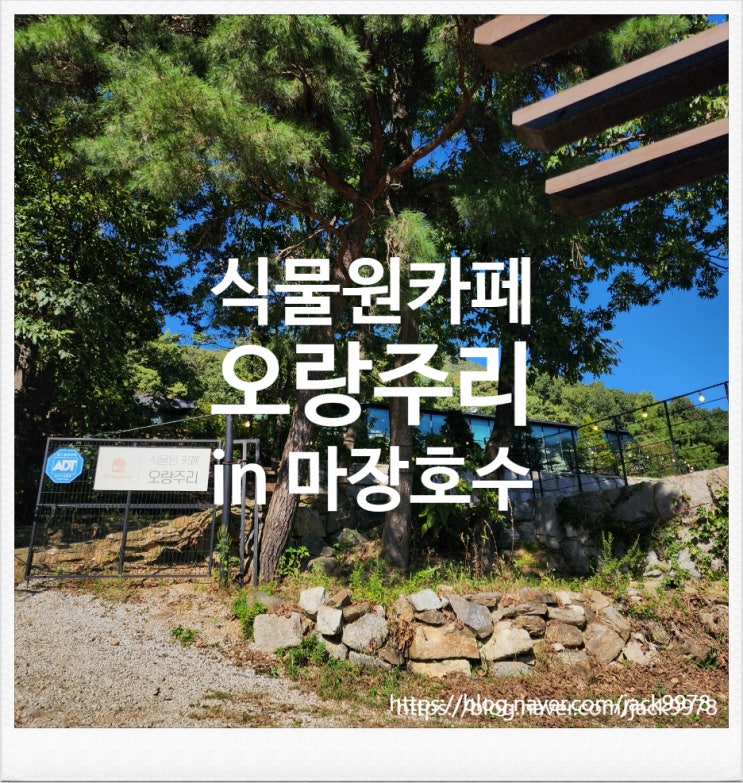 [카페투어] 마장호수 인근의 식물원 카페 "오랑주리"