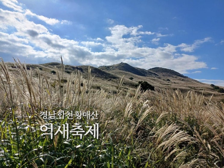  곧 시작되는 10월 경남 지역축제 황매산 억새축제 알기