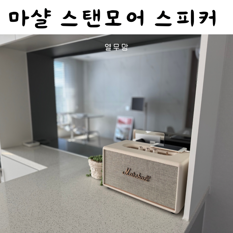 마샬 스탠모어3 블루투스 스피커 아마존 직구 스피커 에이징