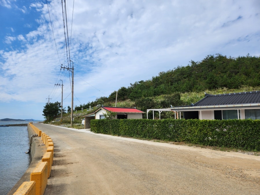 골드본 사진 2