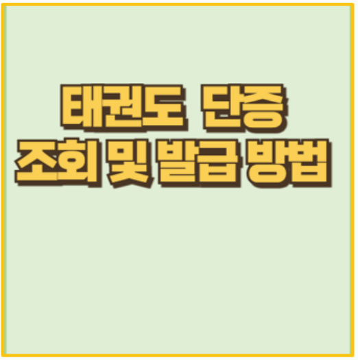  태권도 단증 조회 발급 품단 전환까지 한 번에 해결하는 방법