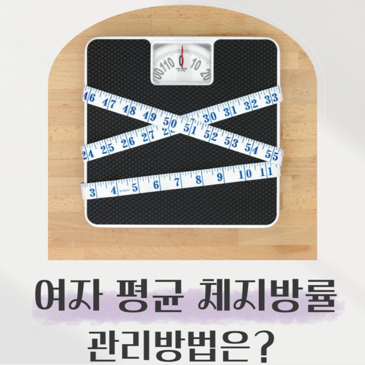  여자 체지방률 평균과 줄이는 방법, 남녀 평균이 다른 이유