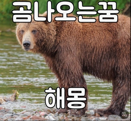 곰나오는꿈, 곰 꿈해몽