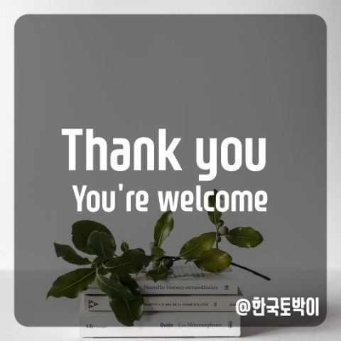  Thank you 대답 You're welcome 외 표현