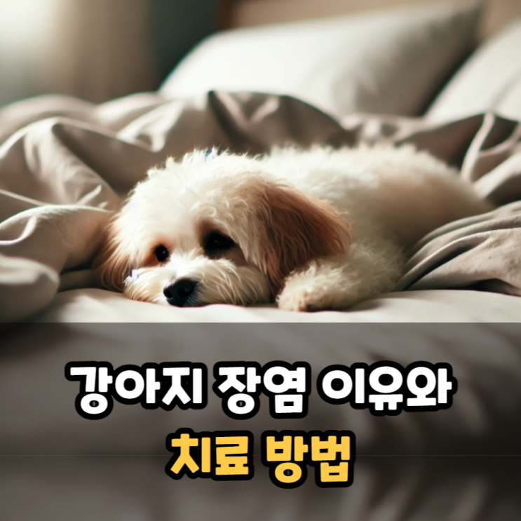  강아지 장염 치료 방법