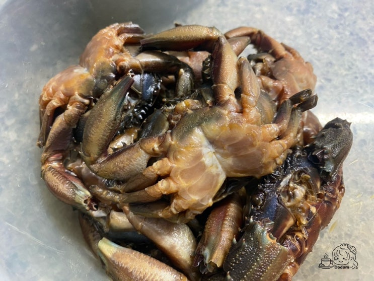  해루질로 직접 잡은 돌게ㅣ백종원 장아찌간장으로 초간단 간장게장 만들기