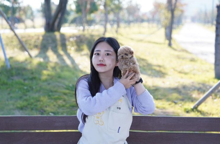  의왕고양이분양 테디럽 먼치킨