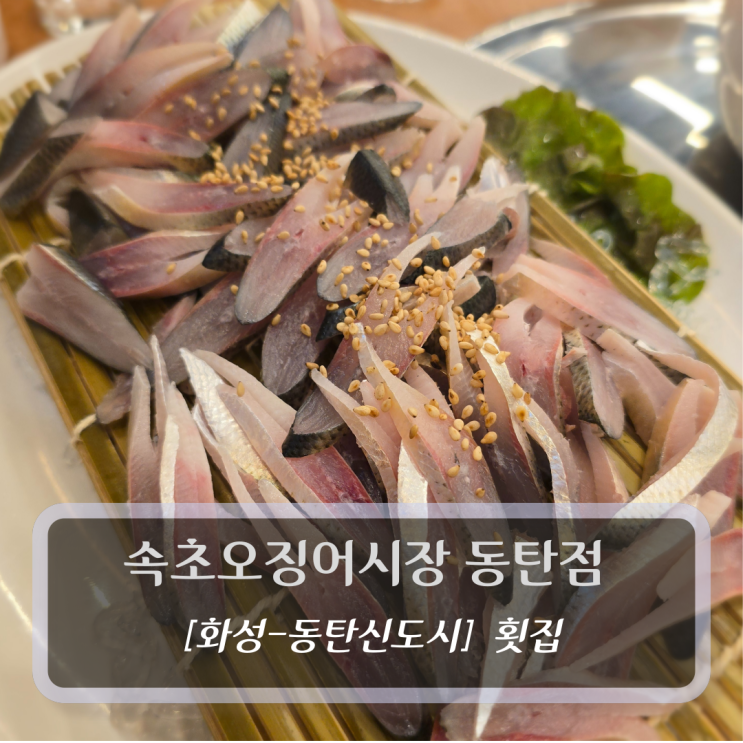  [화성-동탄신도시, 횟집] 속초오징어어시장 동탄점 - 동탄역횟집
