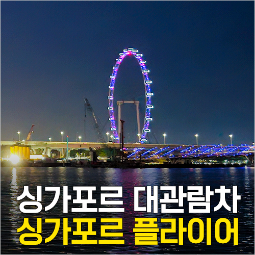  싱가포르 대관람차 야경 전망대 - 싱가포르 플라이어 티켓 예약, 시간, 내부