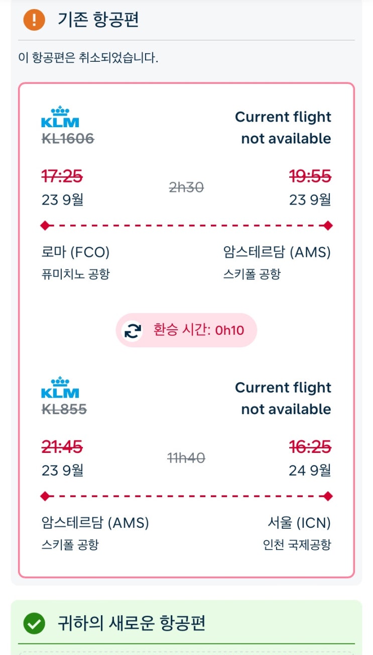KLM <b>지연</b> 암스테르담 스키폴 공항 환승 실패 후기