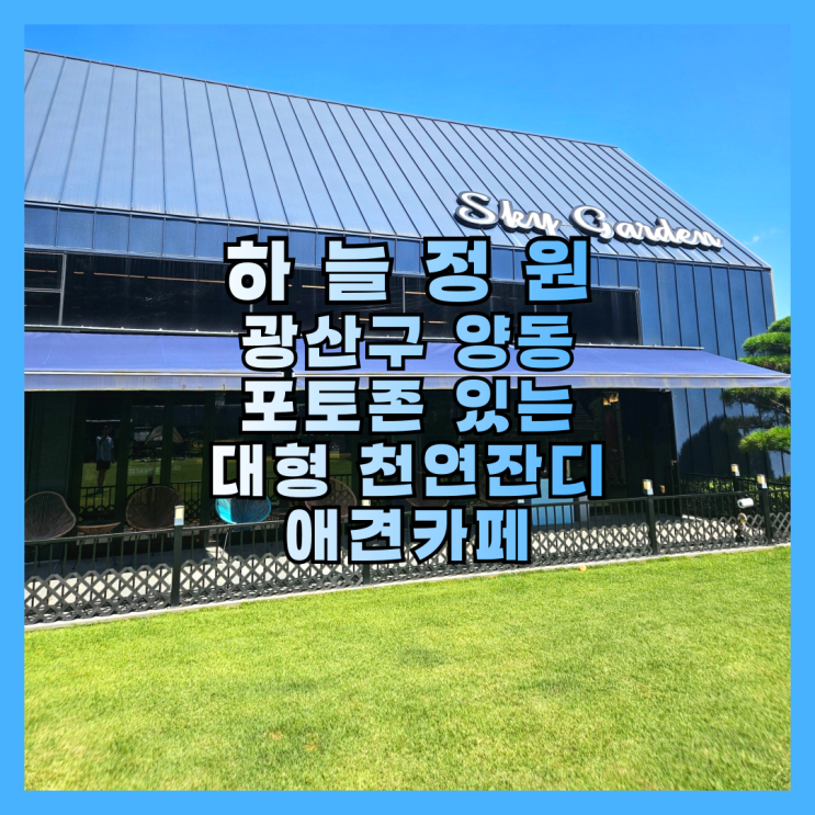  포토존 있는 대형 천연잔디 애견카페 광주 광산구 하늘정원