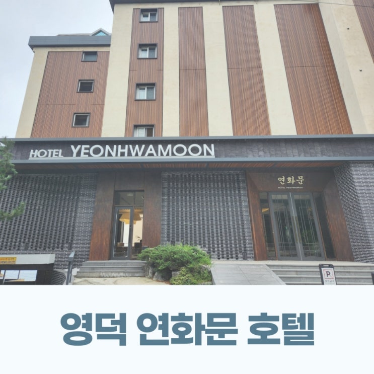  영덕 숙소 추천 오션뷰가 이쁜 연화문 호텔 자쿠지도 있어요