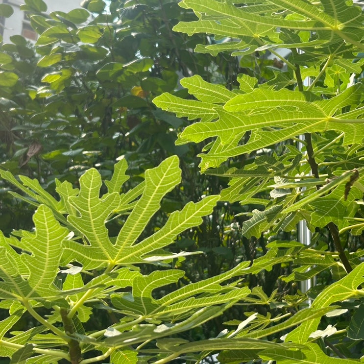  24년 10월 포토덤프 6
