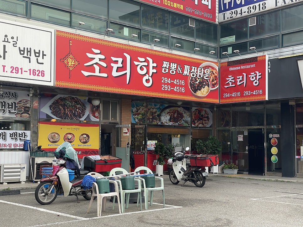 초리향 사진 2