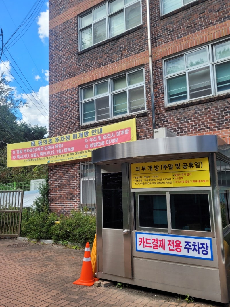 사진 5