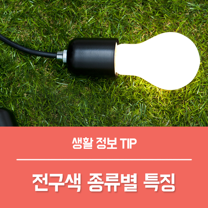  전구 주광색 주백색 백색 차이, 형광등 전구색 종류 총정리!