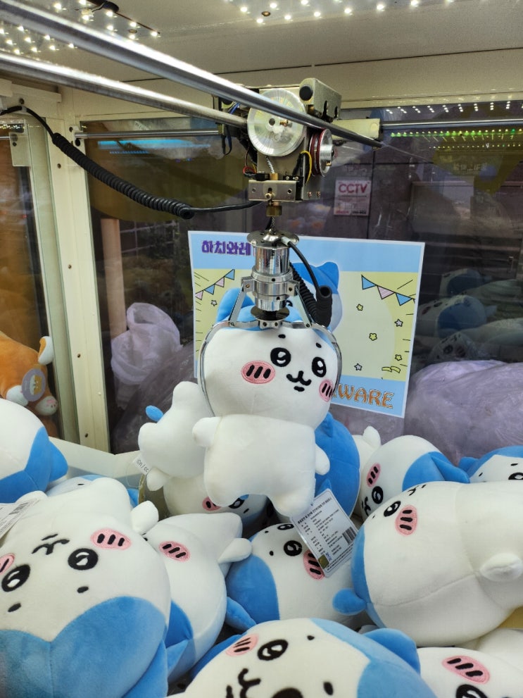  블로그씨 나의 휴일은