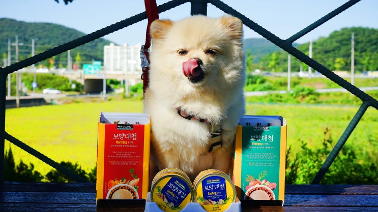  강아지 영양간식 보양대첩 체질 맞춤 미니 보양캔.