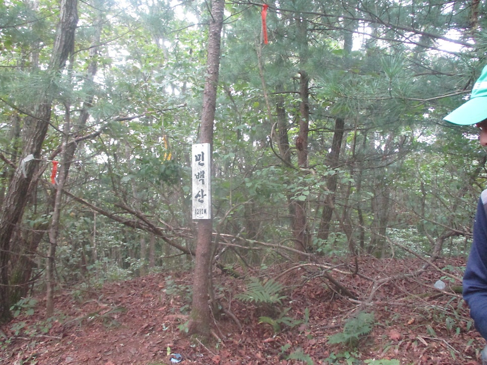 민백산 사진 4