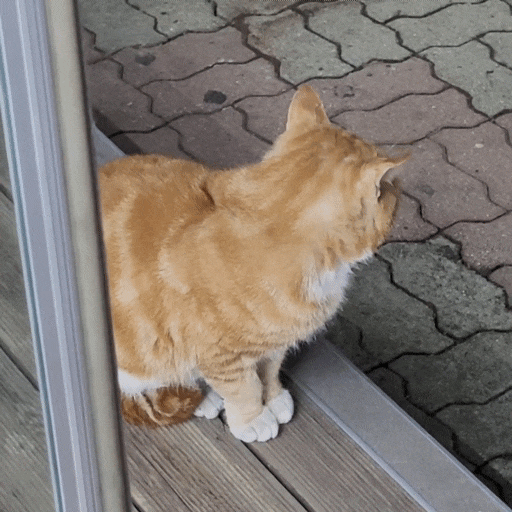  GS25 편의점 야간알바 3월 1 :: 고양이 밥주기, 폐기왕창나옴