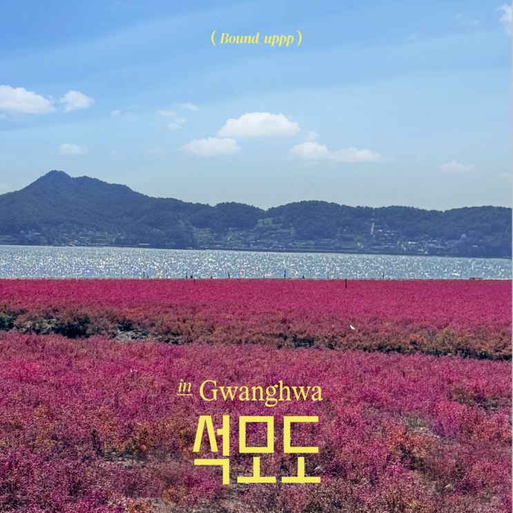  석모도 칠면초 군락지 가는길