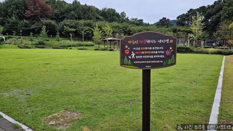 사진 2