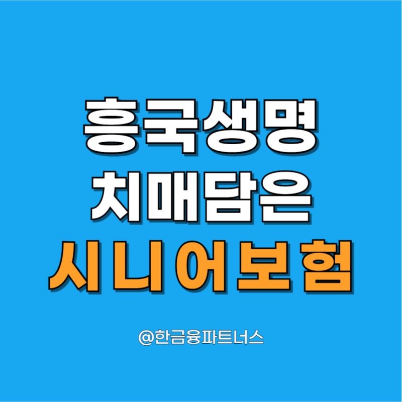 흥국생명 치매담은시니어보장보험 60대 초경도 치매로 진단받아도 천만원이 3만원대?