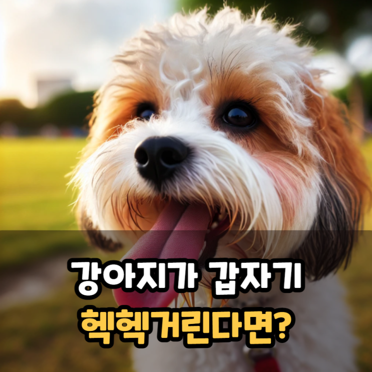  강아지 갑자기 헥헥거린다면?