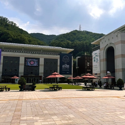 사진 6