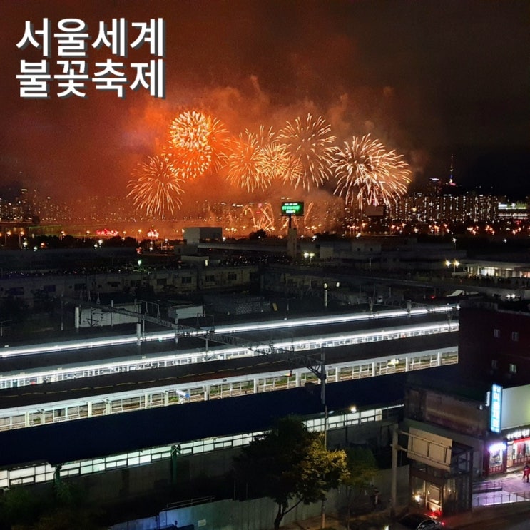  2024 여의도 불꽃축제 명당 준비물 꿀팁 Live 링크